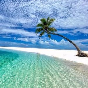 Meet your Posher, Joseph m